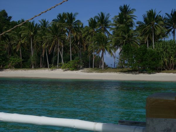 Coconut palms and white sand on Boayan Island seen from an approaching bangka
