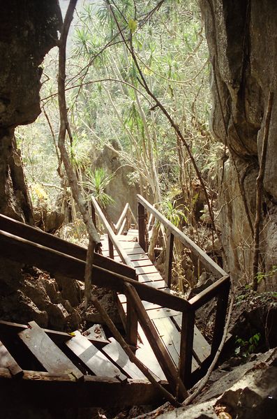 Wooden stairway between limestone walls on the Monkey Trail near Sabang
