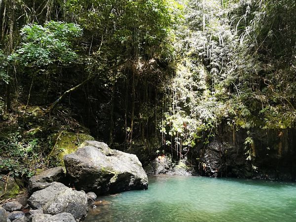 Pool and boulders below Kuyawyaw Falls in the jungle, Taytay