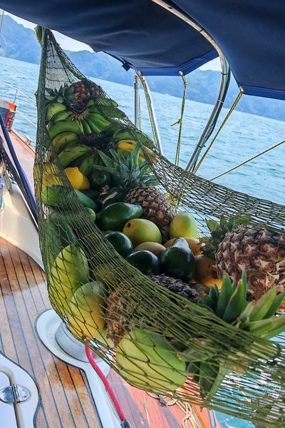 Net of fresh pineapples, mangoes, avocados and bananas hanging on deck