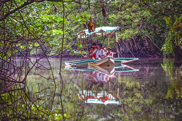 Visitors in a paddle boat on the calm mangrove river at Sabang, reflected in the water