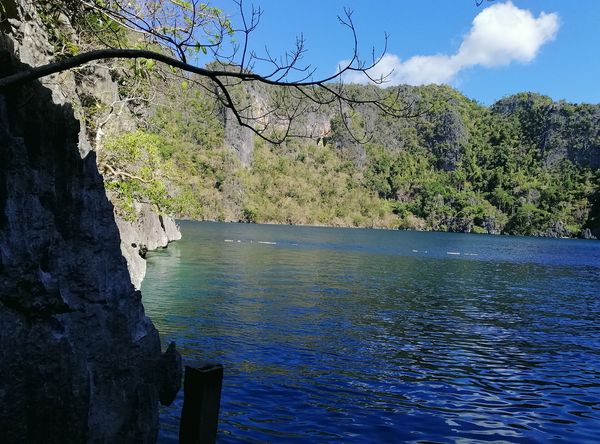 Barracuda Lake, Coron (Wikimedia Commons, CC BY-SA 4.0 / CC BY 3.0)