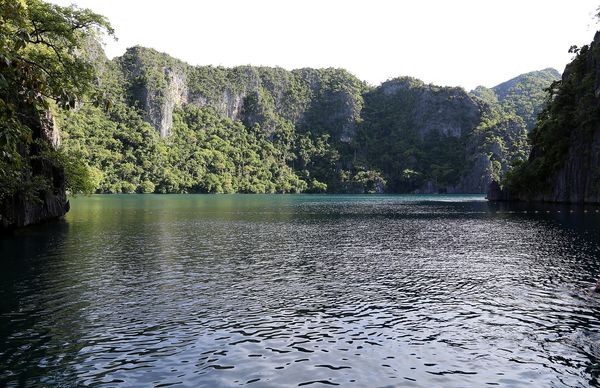 Barracuda Lake, Coron (Wikimedia Commons, CC BY-SA 4.0 / CC BY 3.0)