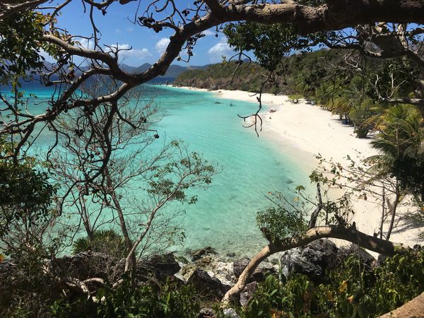Elevated view through trees over the curving white beach and turquoise water of Malcapuya Island