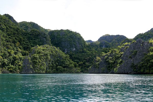 Twin Lagoon, Coron (Wikimedia Commons, CC BY 3.0 / CC BY-SA 4.0)