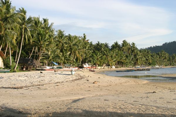The village beach at Port Barton in daylight, with outrigger boats pulled up on tan sand, dense coconut palms and a thatched shelter along the shore