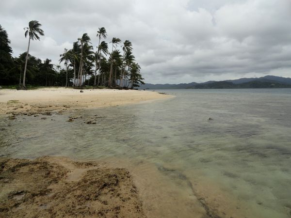 Coconut palms and white sand on Pinagbuyutan Island at low tide under an overcast sky