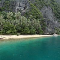 The white sand beach on Pinagbuyutan Island with coconut palms below the island's sheer limestone wall