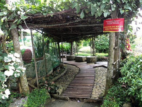 Stone and timber garden pathway under a vine-covered pergola at Baker's Hill