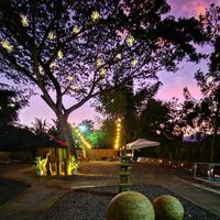Iwahig Firefly Watching