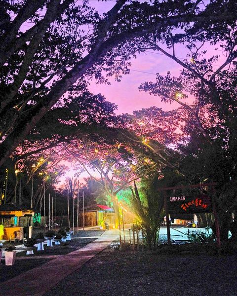 Iwahig Firefly Watching