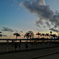 Sunrise over Puerto Princesa Bay seen from the Baywalk, with palm silhouettes and a lit ferris wheel