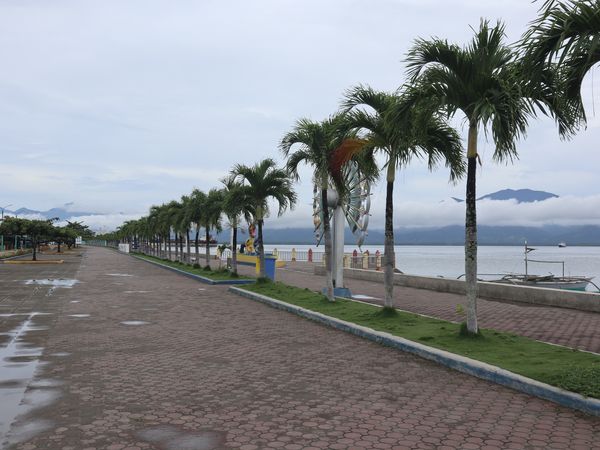 Palm-lined paved promenade along Puerto Princesa Bay, with a metal peacock sculpture, a seawall and mountains across the water