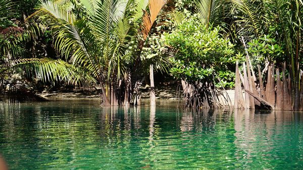 Puerto Princesa Underground River (Wikimedia Commons, CC BY-SA 4.0 / CC BY 4.0)