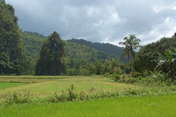 Puerto Princesa Underground River (Wikimedia Commons, CC BY-SA 4.0 / CC BY 4.0)