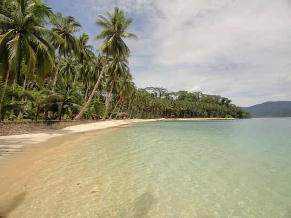 Shallow clear water over pale sand along a palm-lined beach, with a wooded headland in the distance