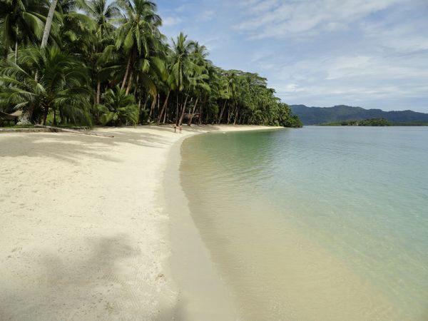 A crescent of white sand and shallow turquoise water backed by a thick line of coconut palms, with green hills beyond